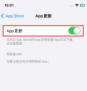 园林办事处苹果15维修中心如何让iPhone15APP自动更新