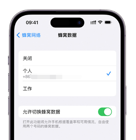 园林办事处苹果维修服务分享如何在iPhone上使用双卡 